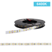 Ταινία LED 4.8W/m CHIP 3528 60chips/m 6500K (ΨΥΧΡΟ) 310Lm IP20 12V